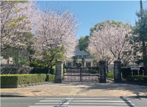 熊本市白川中学校